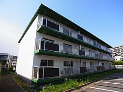テレパレス柏てるて　北街区　4号棟 202