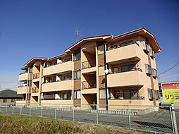 セゾン・ド・みずき 202