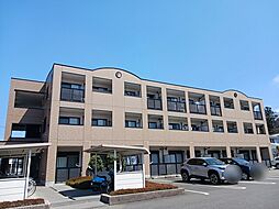 プラシード城東 206