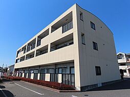 ファインロイテ 303