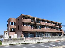 ボナール諏訪 203