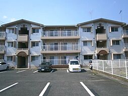 小山駅南ハイツ 303