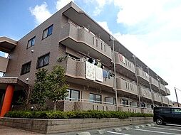 カルネドール 302