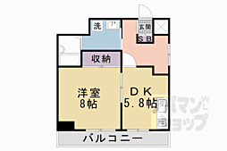 ドミトリーインテリジェンス 111