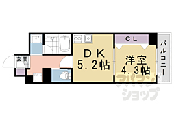 アメイジング桂 501
