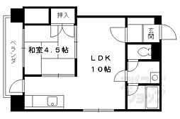 セント一香 302