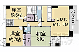サンシティ桂坂ロイヤル参番館 213