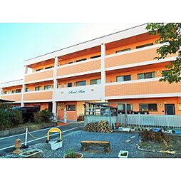 モーツアルトハイム 207