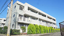 サーフサイドサンシャイン S103