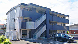 ＢＥＲＧＥＮ　ＭＯＯＮ 202