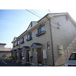 ＳＵＮ　ＥＲＩＣＡ C