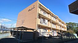 プラムコート 305