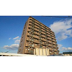 マリンスクエア 803