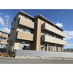 Arcadia Jin　B棟 302