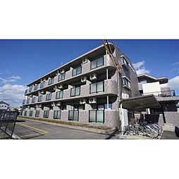 ベルカルム・Ｓ 206