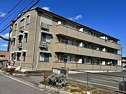 Ｌａｖｅｎｄｅｒ　Ｈｅａｒｔｓ 101