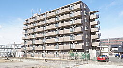 ロイヤル江戸橋 501