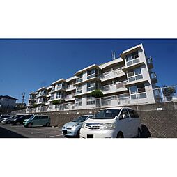 大谷ヒルズA 306