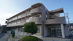 ドゥクール 311