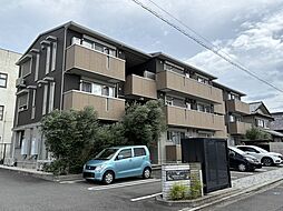 アンファン　ナッツ 305