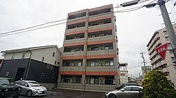 アネモネ 202