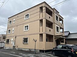 オリーブV K-1
