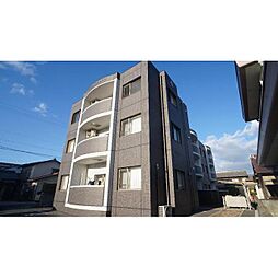 Ｔ・Ｍグローブ 302
