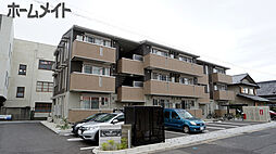 アンファン　ナッツ 301