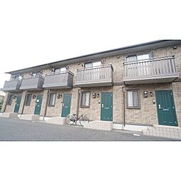 カンフォーラ D