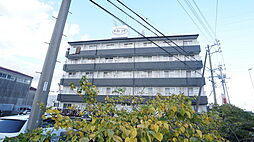 Ｆｏｕｒ　Ｓｅａｓｏｎ 505