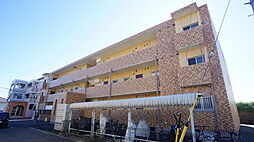 Ｔ．フェアリートキワ 306