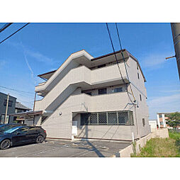 エクセレントヒロナガ 203