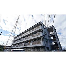 ルミエール八幡 207