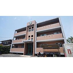 エターナルリーフ N202