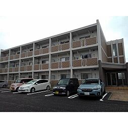 ルクソール新正II 301