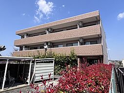 ＶＩＰ-ＩＮ太平洋　ノースヒルズ 206