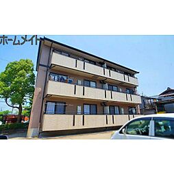 ＧＲＥＥＮ　ＬＥＡＶＥＳ　ＴＡＮＡＫＡ 301