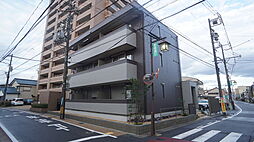 ＹＯＵＲ　ＭＡＩＳＯＮ　ｃａｍｅｌｌｉａ 103