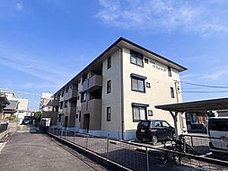 ロイヤルハイカムールST 205