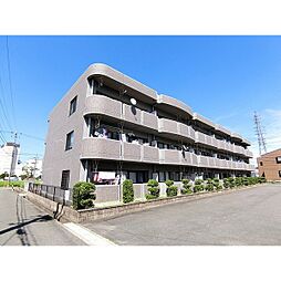 シャルマン　ヴェガ 207