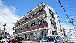 プレミールレイ 207