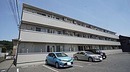 エレガンシア 203