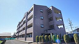 シャングリラ 302