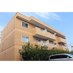 サンフラワーII 1-A