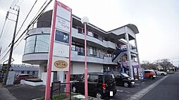 アクティブステージ江島 303