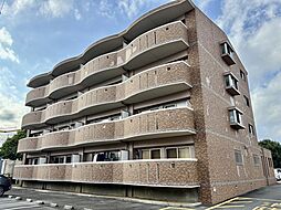 マッシモグローリア 103