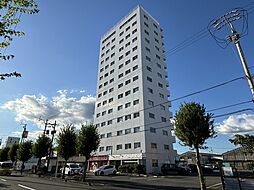 ベーシック中日 801