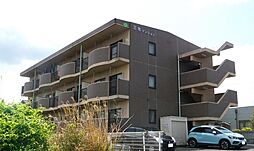 ｍｏｌｔｏ・ｌｉｂｅｒｏ 302