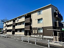 タートル　エイト 203