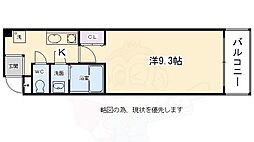 パインフレンズ